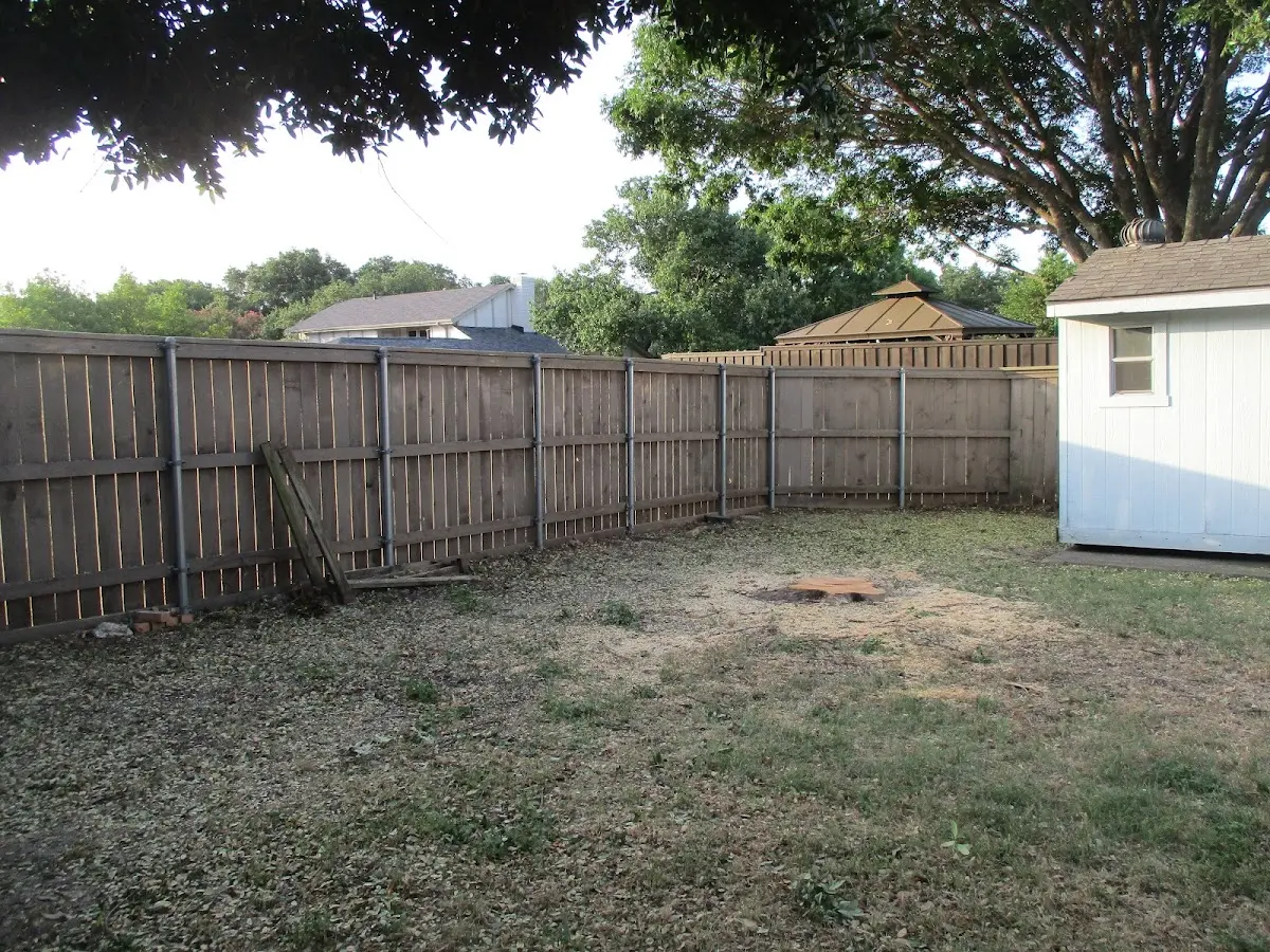 Cleared yard after professional tree removal in Oakdale